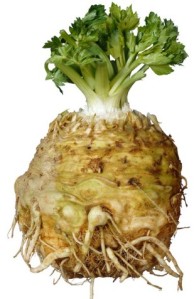 celeryroot